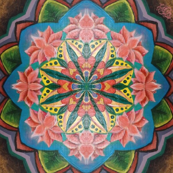 Obrázek WhatsApp, 2025-09-08 v 11.06.35_6f1a8612