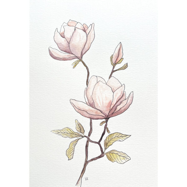 magnolie obraz