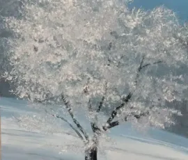 Mrazivá krajina akrylem
